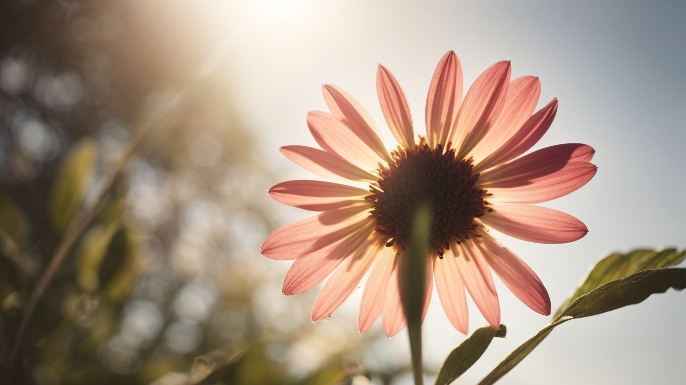Poetic Motifs: Understanding Change, Growth, Family, and Faith in Poetry