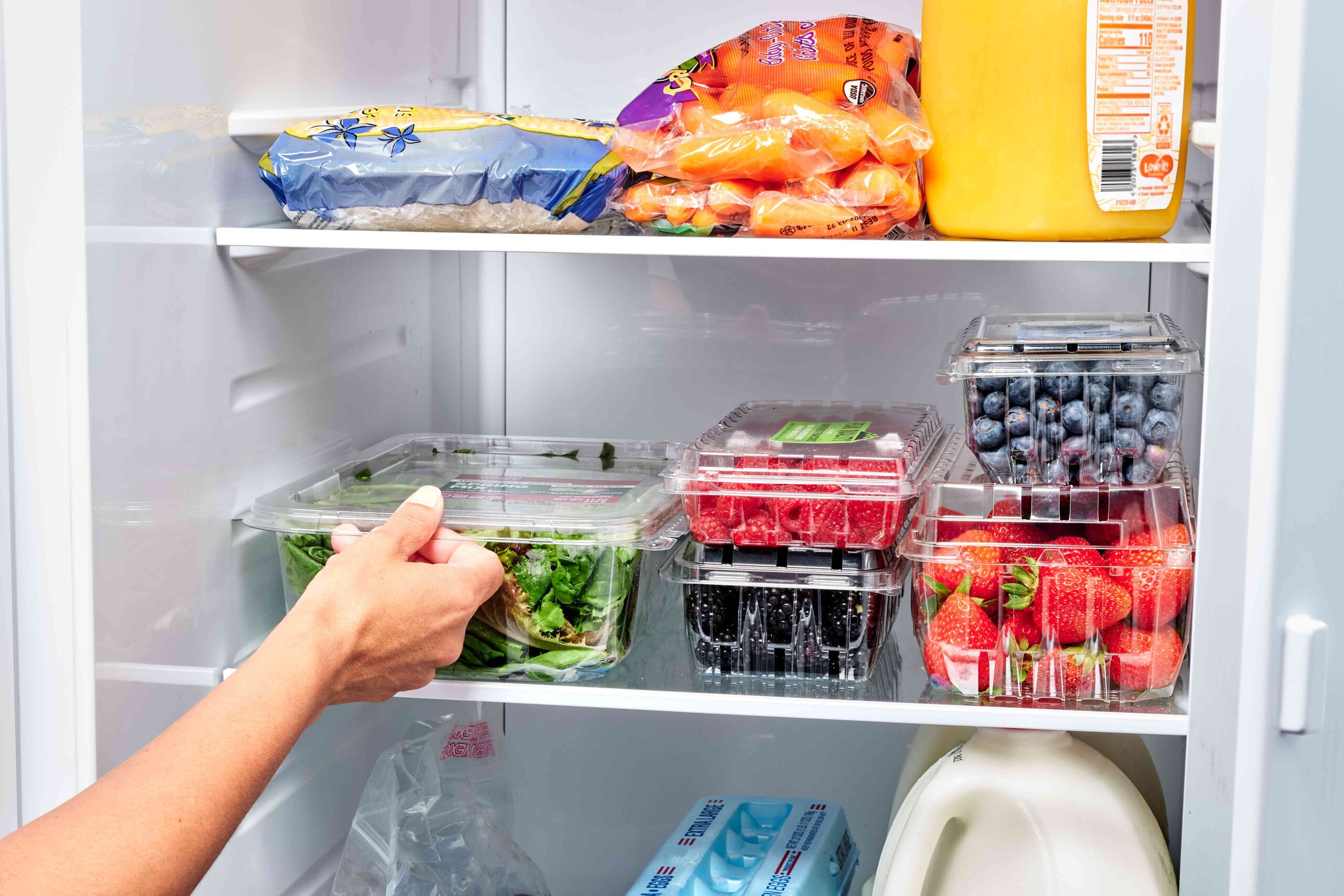 Food Safety Guidelines: Temperature Control and Proper Handling Techniques