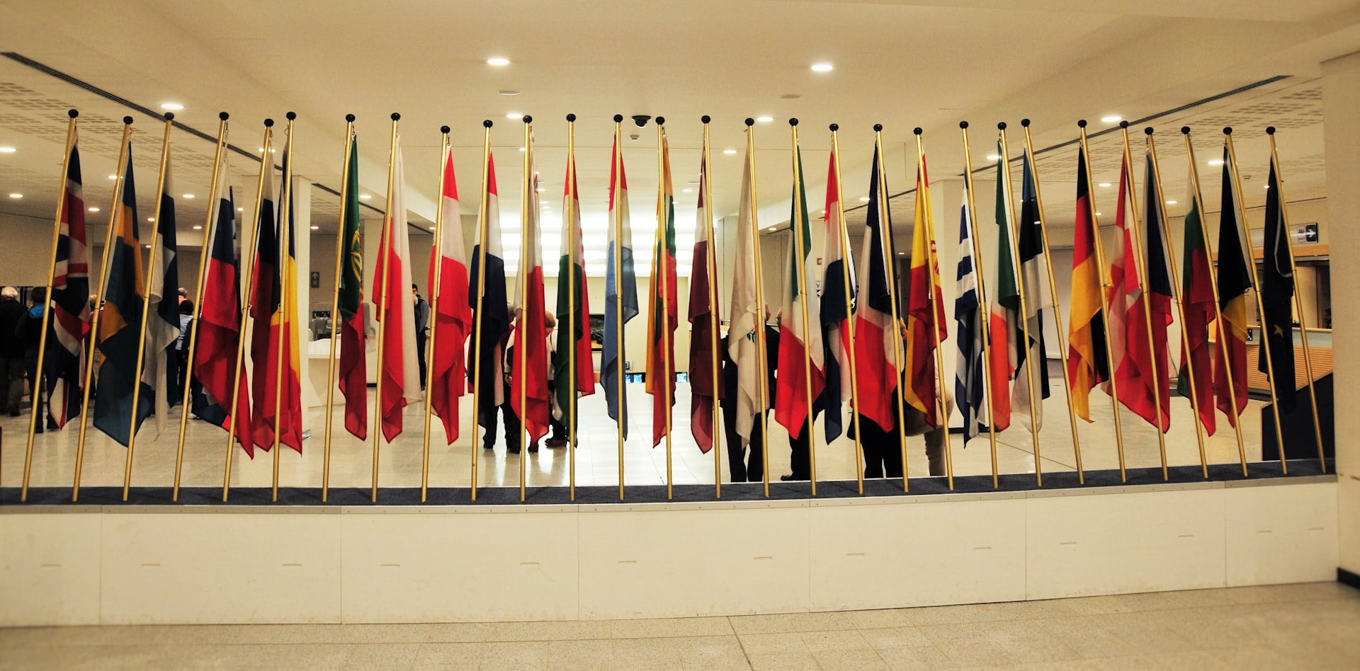 The Evolution and Impact of International Organizations: From Vienna to the Present