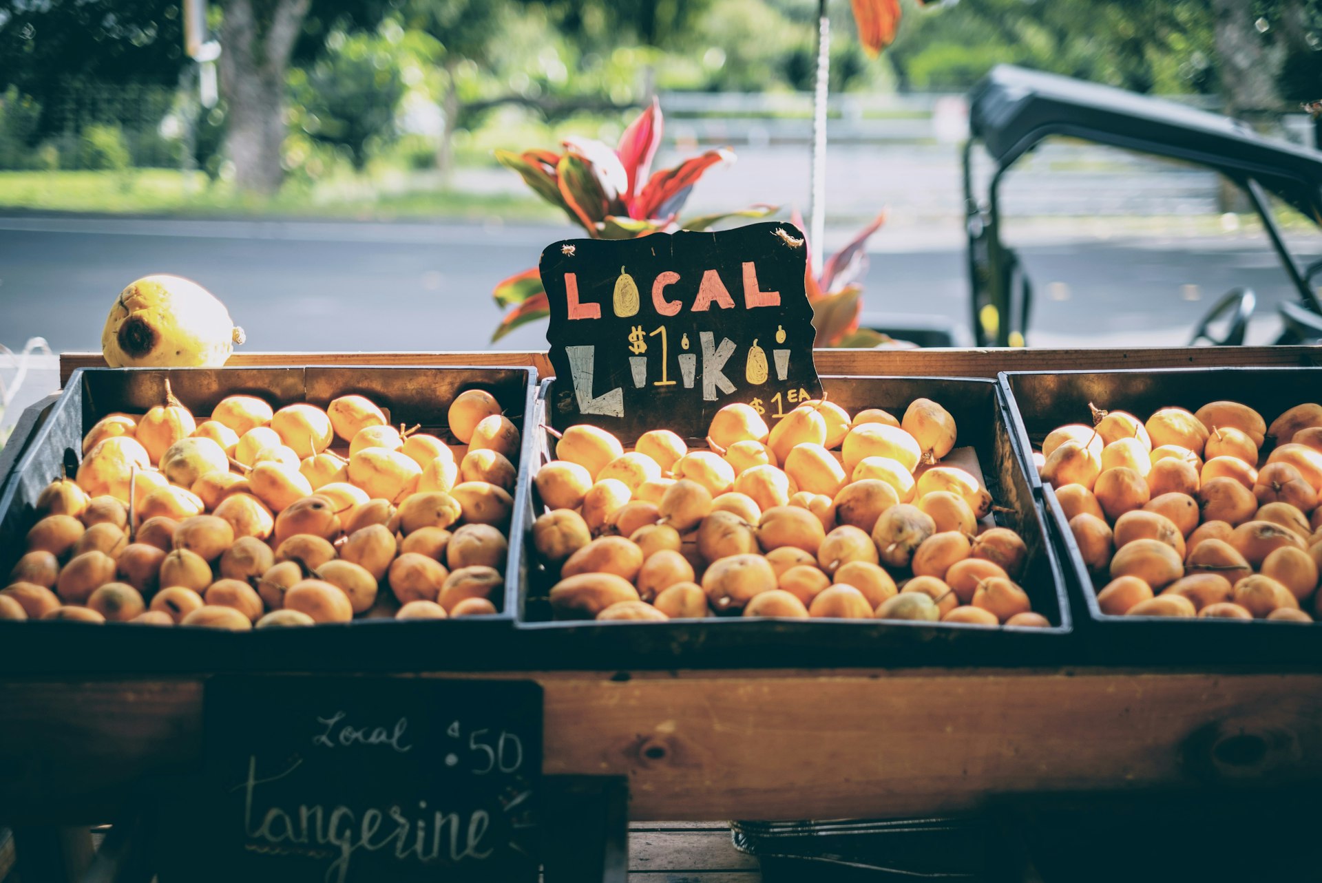 Unlocking the Value of the Locally Sourced Food Movement: Health, Community, and Sustainability