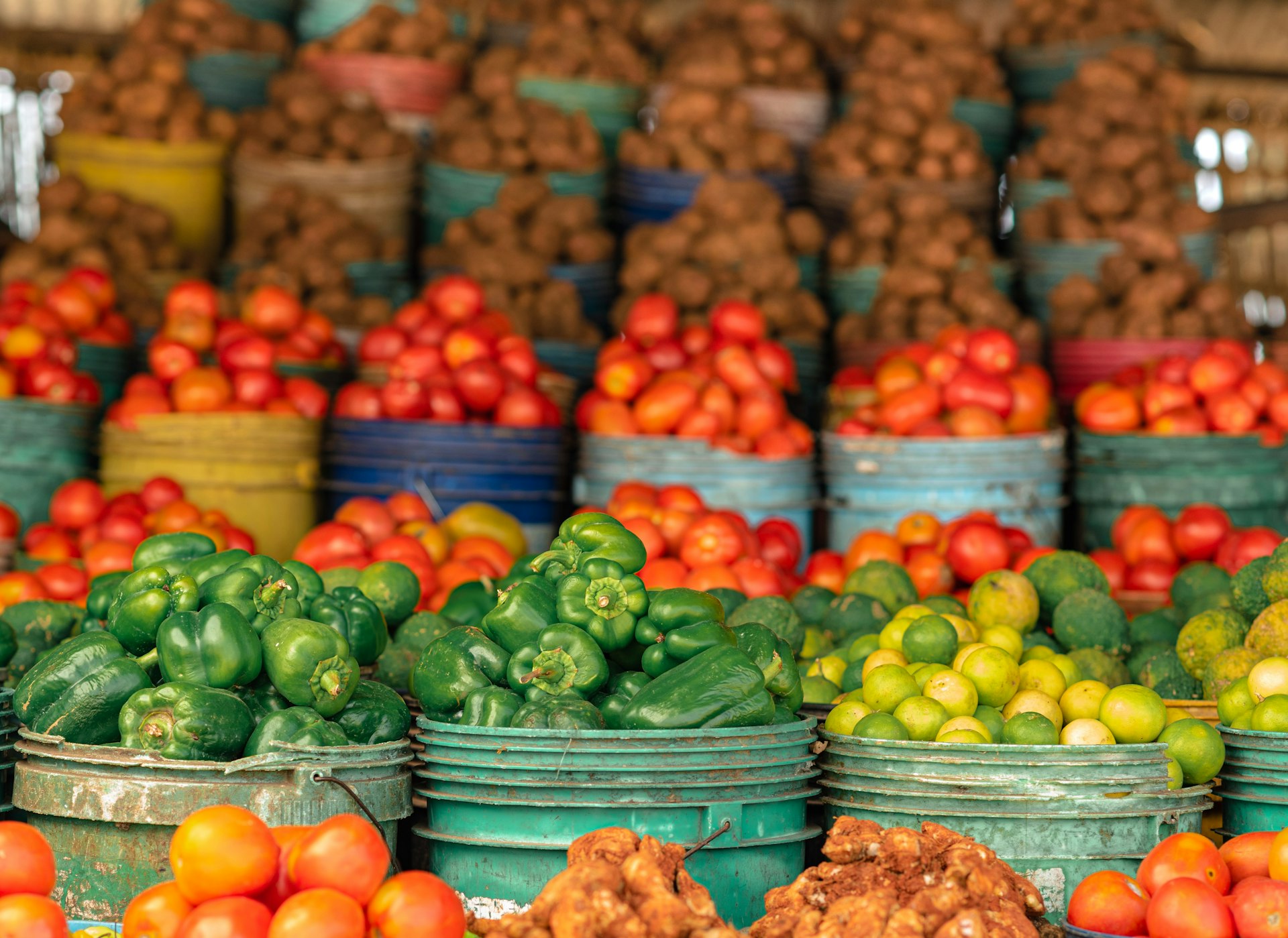 Unlocking Better Health Through Sustainable Food Choices